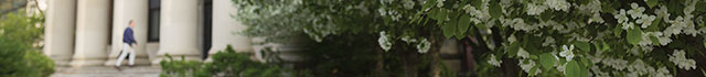 www/images/search-bg-640.jpg