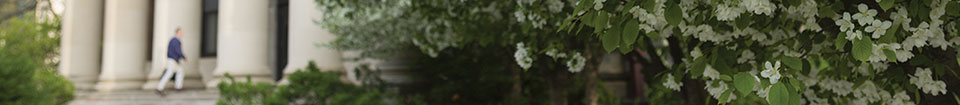 www/images/search-bg-960.jpg